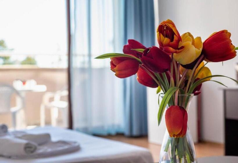 스탠다드 스튜디오 바다 전망, 1 St Line Izvora Sea View Apartments On Golden Sands