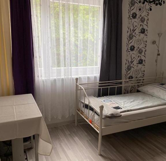 חדר סטנדרט יחיד, Gasthaus Zum Stadtwald