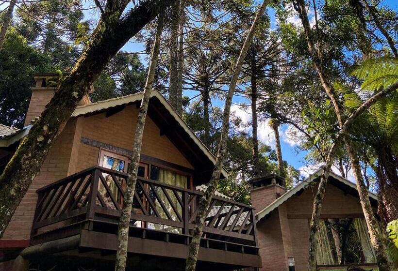 1 Yatak Odalı Lüks Villa, Vivie Pousada