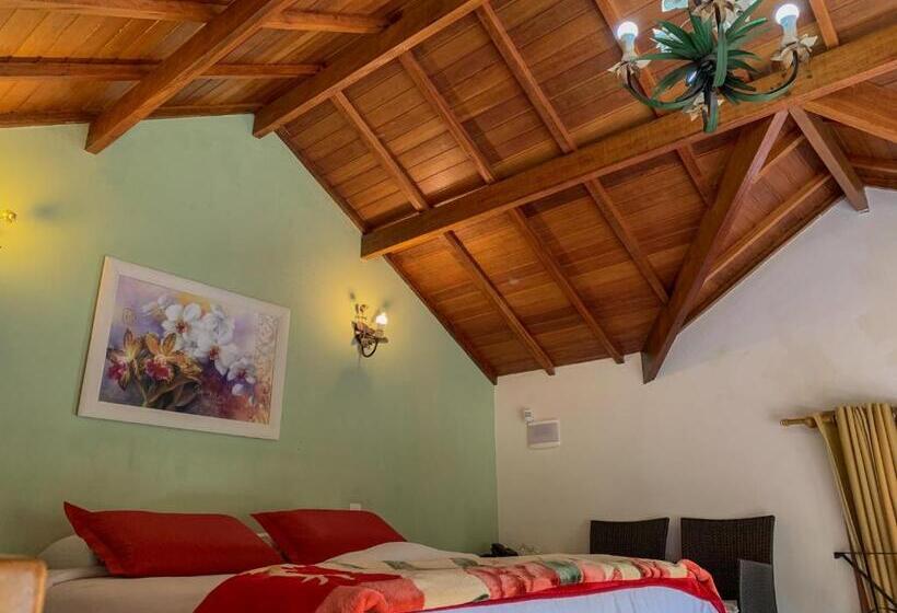 1 Yatak Odalı Villa, Vivie Pousada