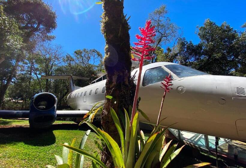 プレジデントスイートルーム, Vivie Pousada