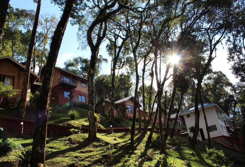 エコノミールーム, Vivie Pousada