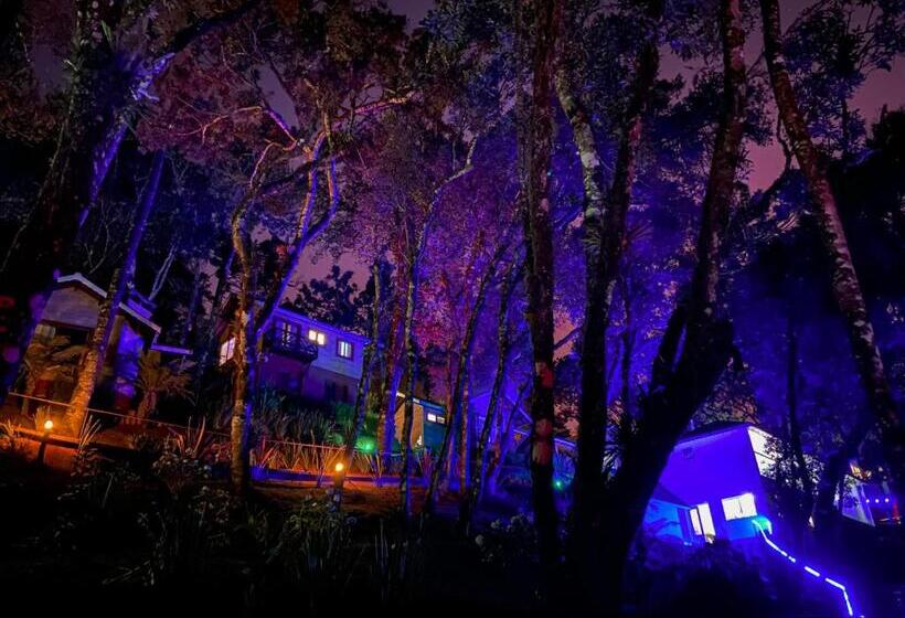 Ekonomik Oda, Vivie Pousada