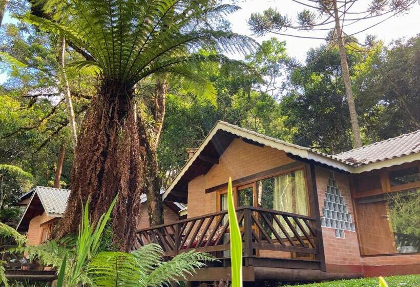 1 Yatak Odalı Lüks Villa, Vivie Pousada