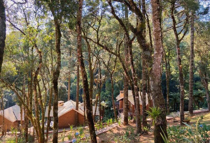 シャレー・スペリアー1寝室, Vivie Pousada