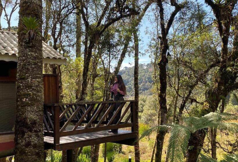 1 Yatak Odalı Lüks Villa, Vivie Pousada