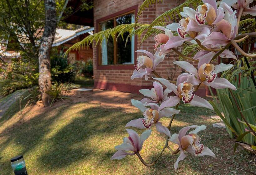 1 Yatak Odalı Villa, Vivie Pousada