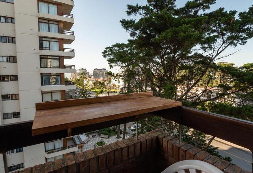 Apartamento Superior 1 Dormitório, Edificio Las Arenas