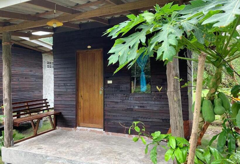 غرفة قياسية مطلّة علي الحديقة, Pd Guesthouse