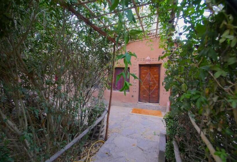 اتاق استاندارد, Riad Tabhirte