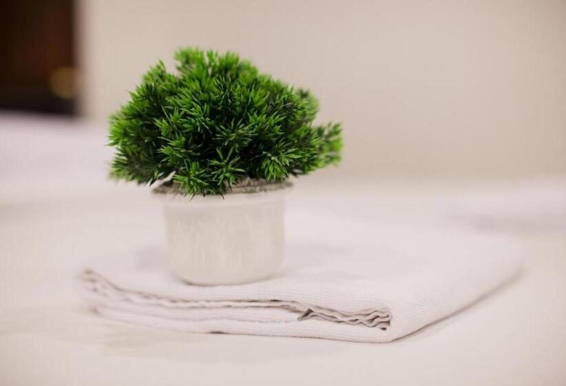 标准间, Top Hostel