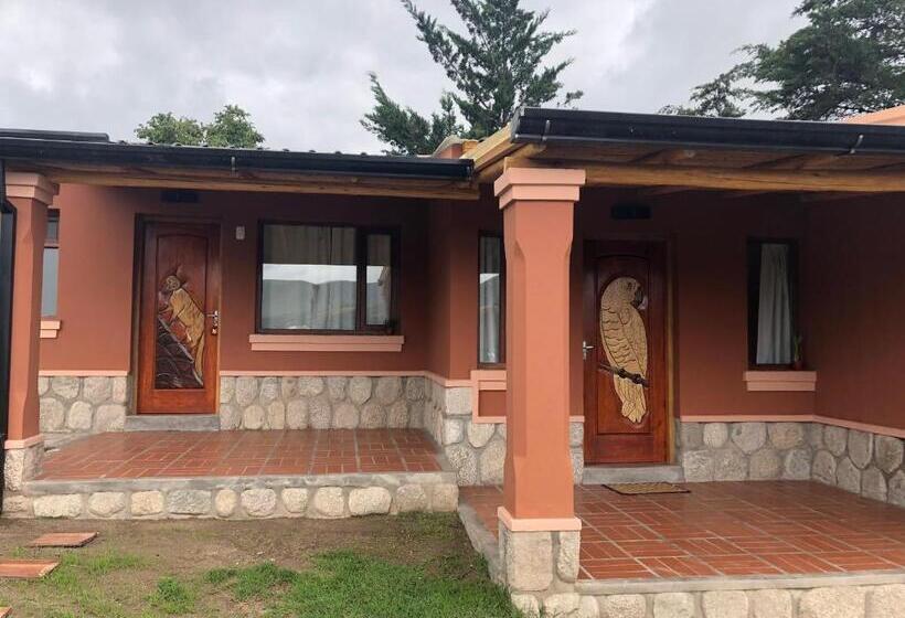 بانگلوی استاندارد, El Viento De Mi Sueño