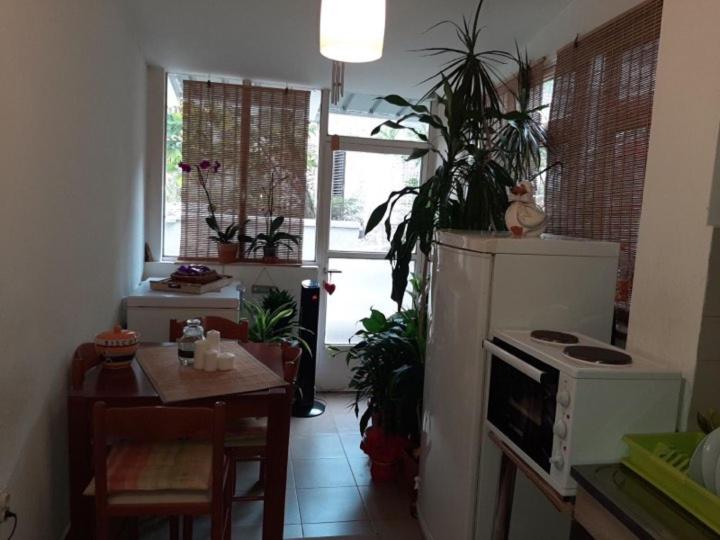 آپارتمان 1 خوابه, Guest House Ivan