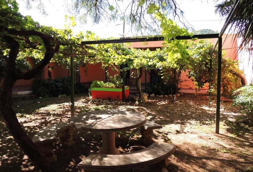 بنجلو قياسى, Apart Cabañas De La Plaza