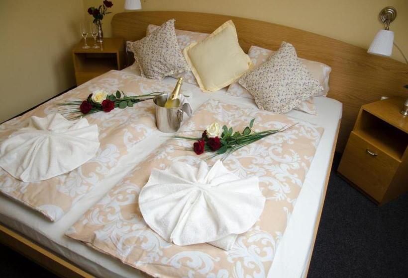 اتاق سوپریور, Penzion Dolíček