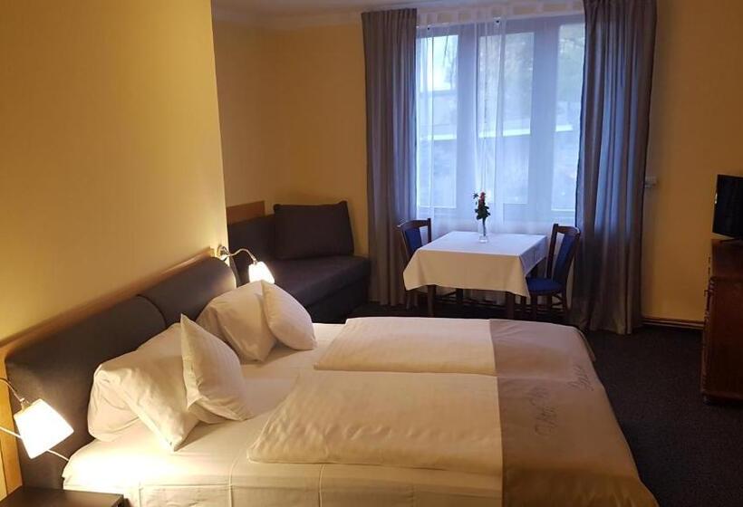 آپارتمان 1 خوابه, Penzion Dolíček