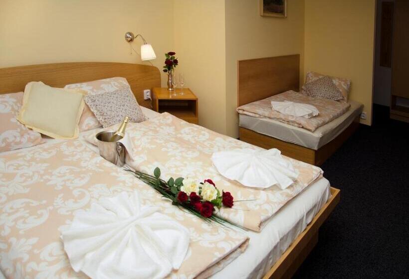 آپارتمان 1 خوابه, Penzion Dolíček