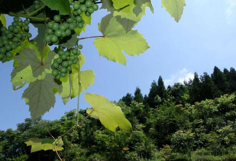 חדר סטנדרט עם טרסה, Enshi Grand Canyon Chunlun Farmstay