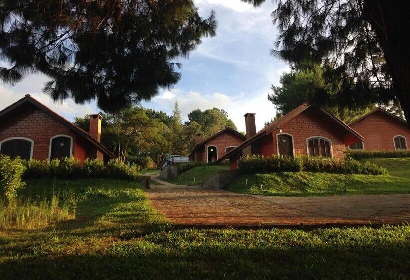 جناح ديلوكس, Emy Pousada