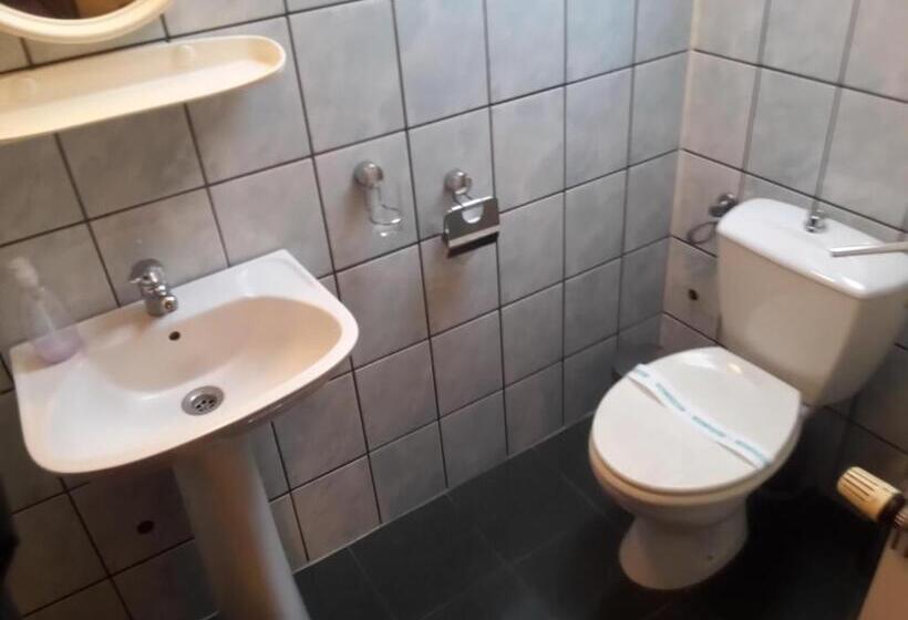 اتاق استاندارد, Pensiunea Doina & Jenő