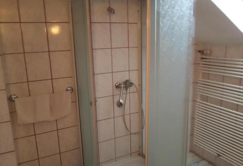 Standard room with outdoor bath, Pensiunea Doina & Jenő