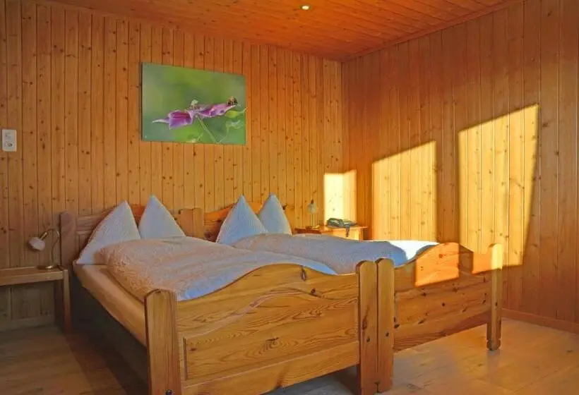 バス共有のスタンダードルーム, Sonnmatt Bergpension & Gesundheitszentrum