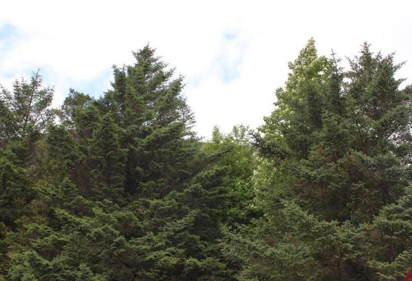 آپارتمان 2 خوابه, Lindarbrekka