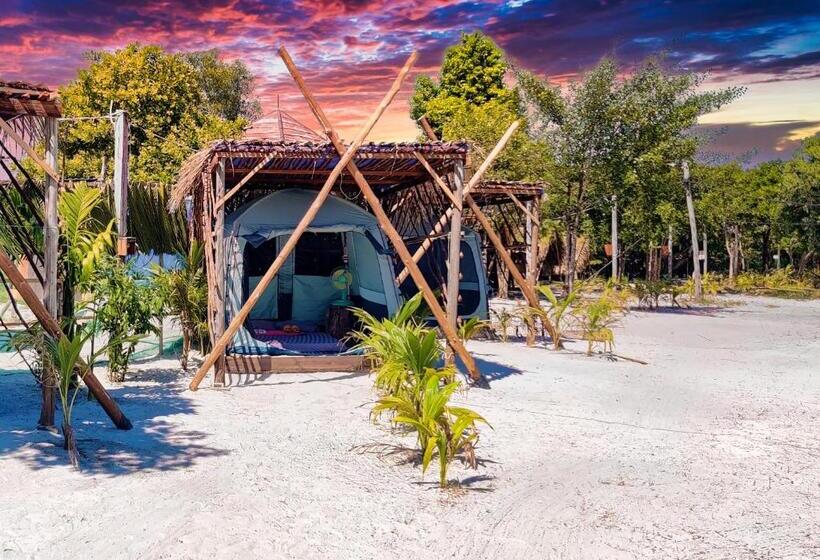 Standard Tent, Pura Vita Resort