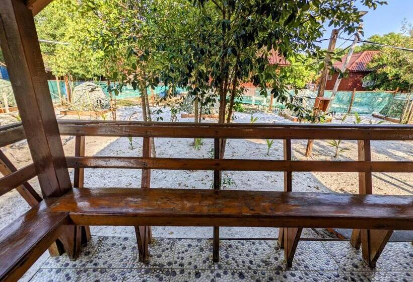 带花园景观的标准洋房, Pura Vita Resort