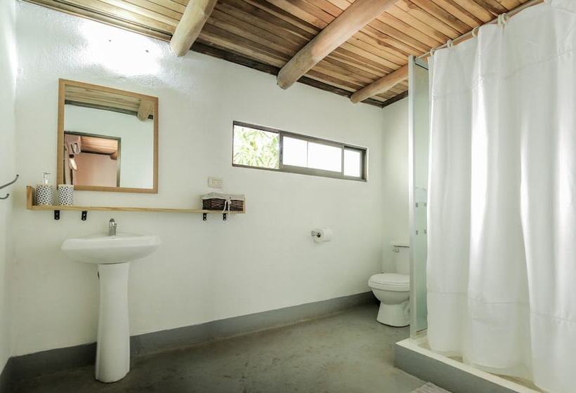 اتاق استاندارد, Believe Surf & Yoga Lodge Santa Teresa