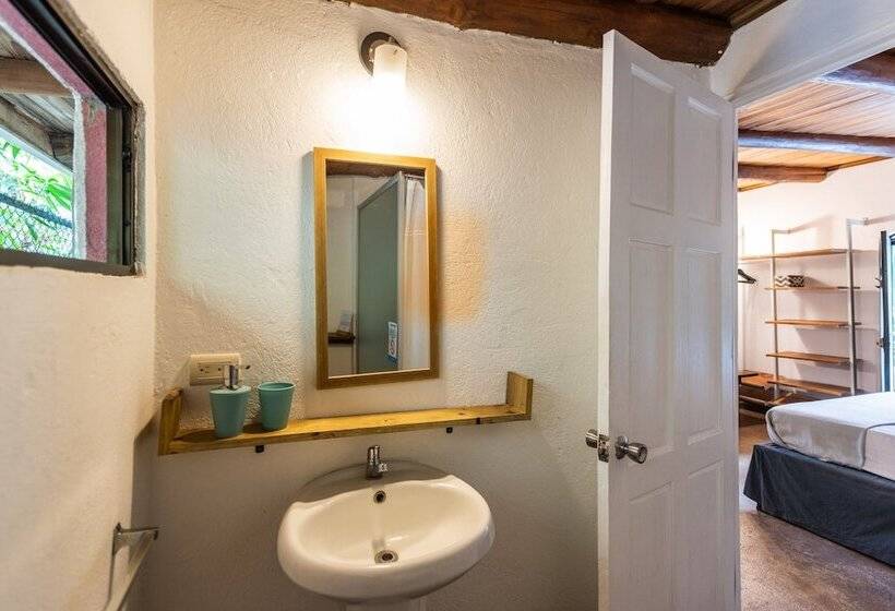 اتاق استاندارد, Believe Surf & Yoga Lodge Santa Teresa