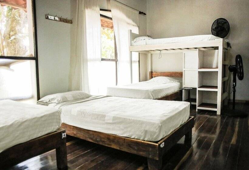 تختخواب در اتاق مشترک, Believe Surf & Yoga Lodge Santa Teresa