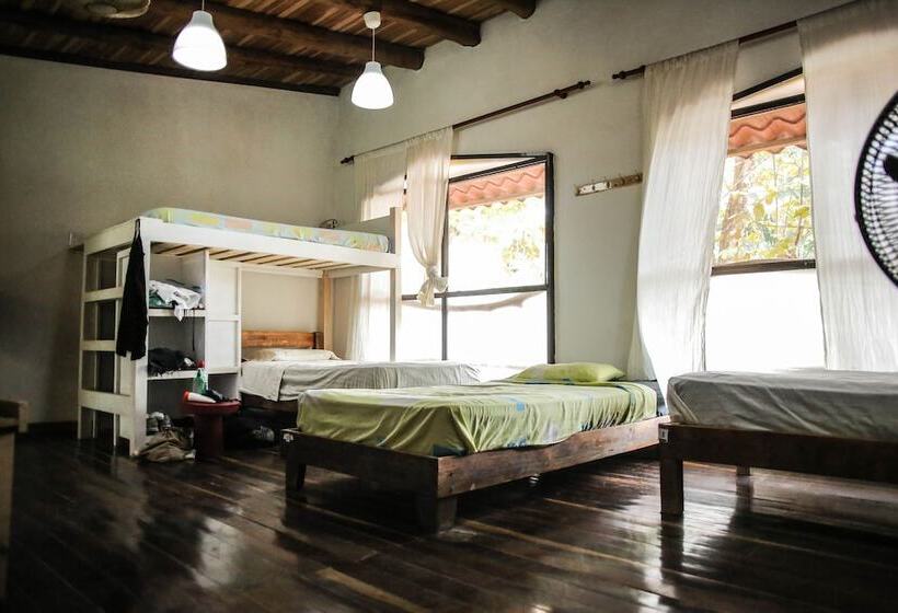 تختخواب در اتاق مشترک, Believe Surf & Yoga Lodge Santa Teresa