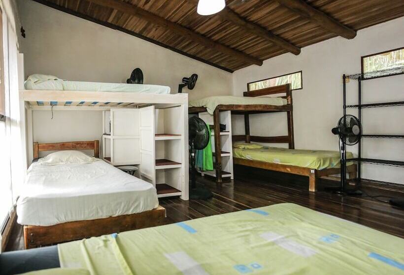 Кровать в Общей Комнате, Believe Surf & Yoga Lodge Santa Teresa