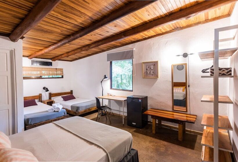 اتاق استاندارد, Believe Surf & Yoga Lodge Santa Teresa