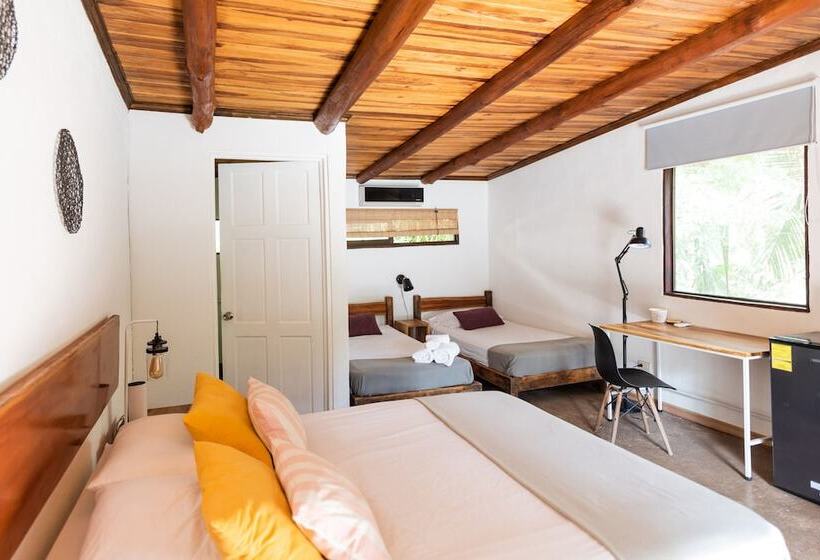 Номер Стандарт, Believe Surf & Yoga Lodge Santa Teresa