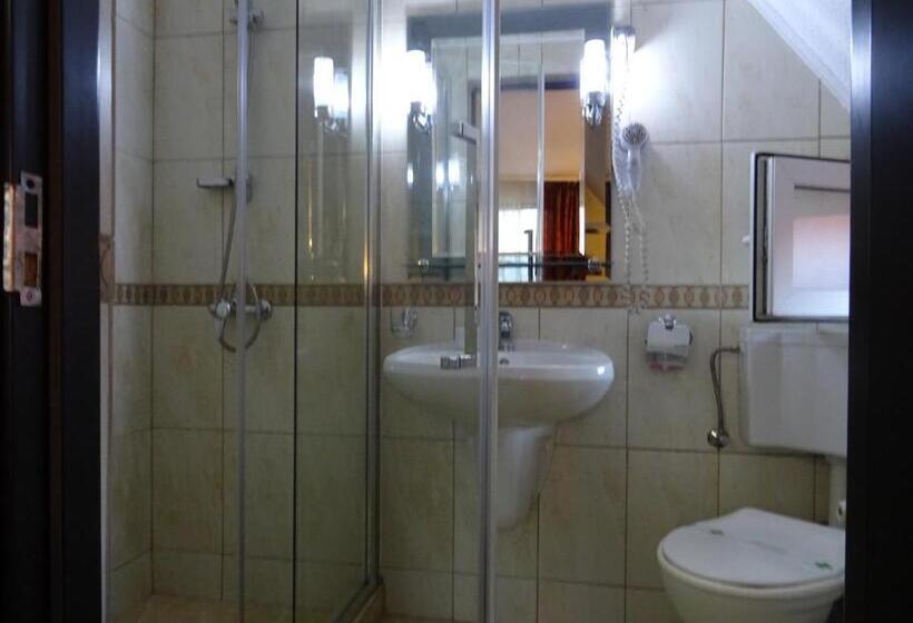 标准间, Pensiunea Magnolia