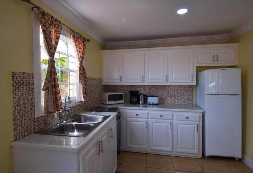 آپارتمان 1 خوابه با چشمانداز دریا, Sea Piton View Apartment Location, Convenience, Modern Living