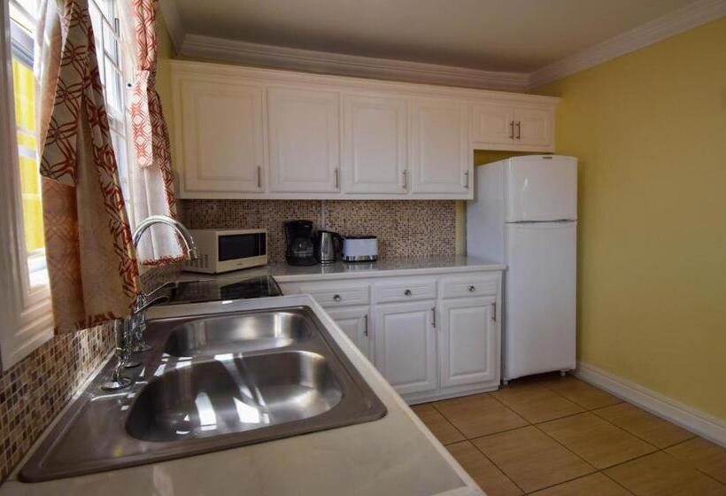 آپارتمان 1 خوابه با بالکن, Sea Piton View Apartment  Location, Convenience, Modern Living