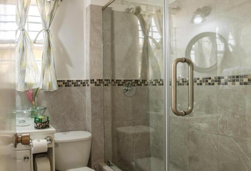 آپارتمان 1 خوابه با بالکن, Sea Piton View Apartment Location, Convenience, Modern Living