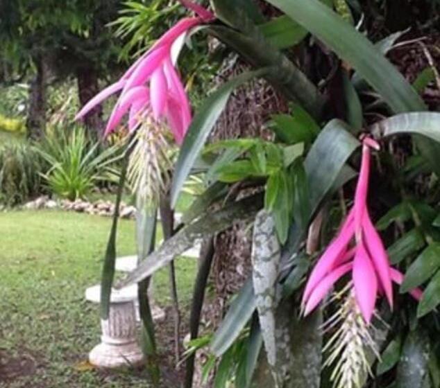 标准单人间, Hospedaria Abbud & Fernandez