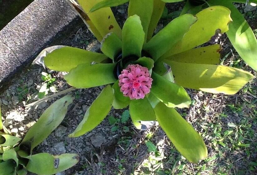 标准单人间, Hospedaria Abbud & Fernandez