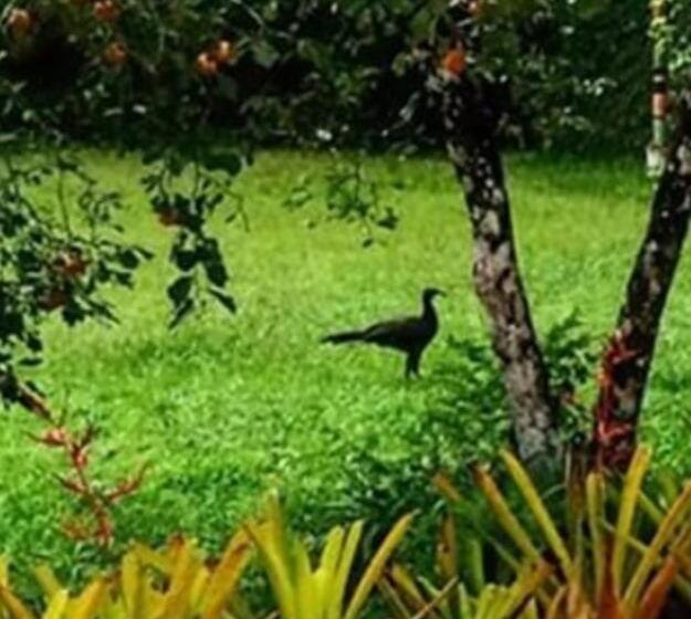 标准间带阳台, Hospedaria Abbud & Fernandez