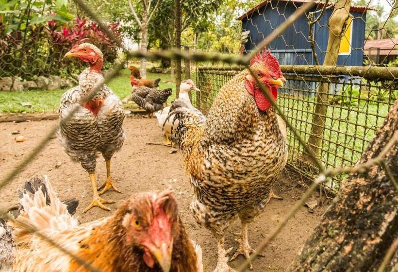 标准间带阳台, Hospedaria Abbud & Fernandez