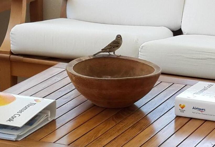 Appartamento 1 Camera da Letto, Meis