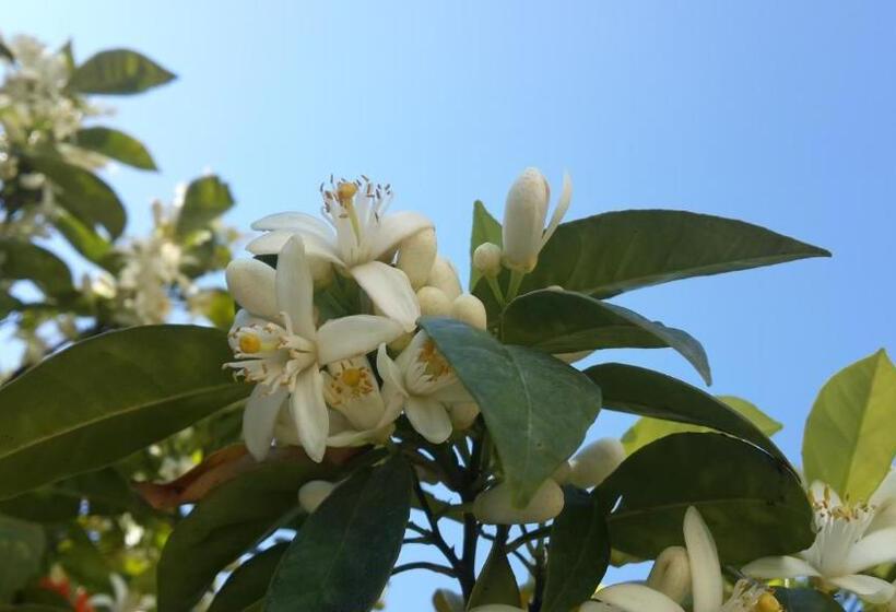 Appartamento 1 Camera da Letto, Meis