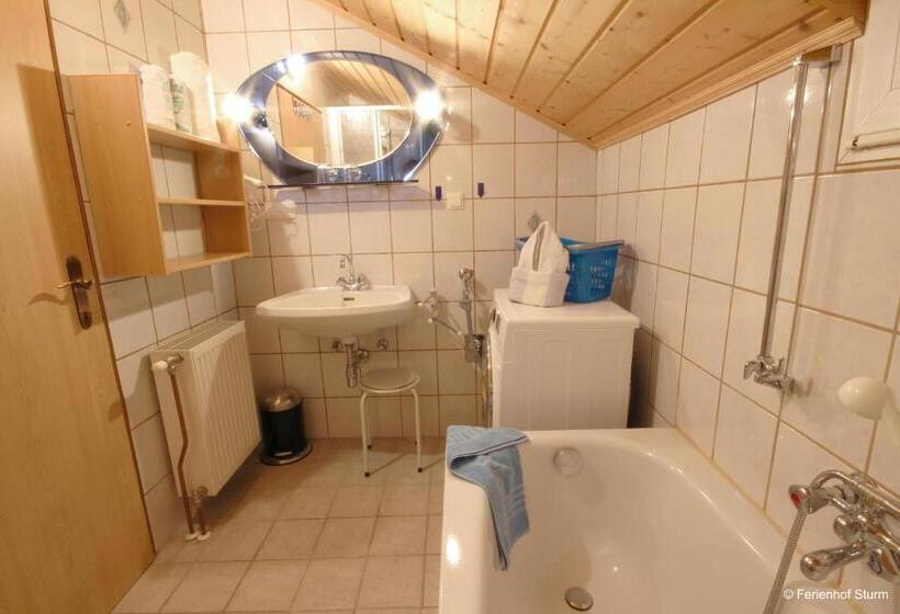 Апартаменты 3 Спальни, Ferienhof Sturm