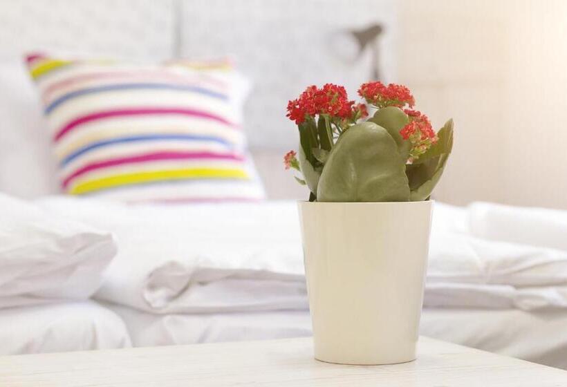 Quarto Estandar, Largo