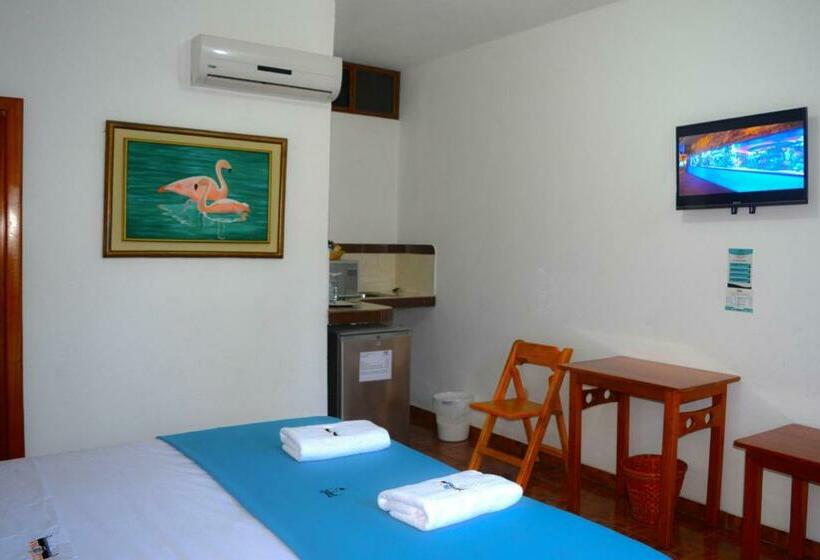 اتاق استاندارد, Coloma Galapagos