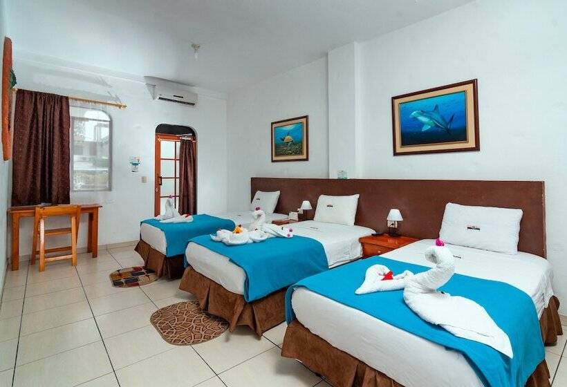 اتاق استاندارد سه نفره, Coloma Galapagos